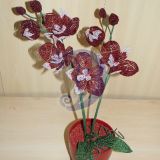 burgundiska mini