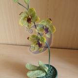 "Green_lady"