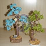 Mini_bonsai