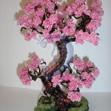 bonsai