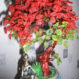 egzotika2