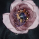 gėlė
