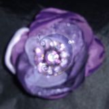 Violetinė  gėlė