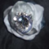 sagė elegancija1