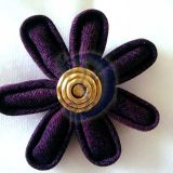 Sage violetine